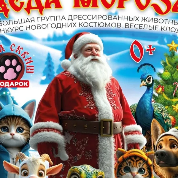 Цирк Деда Мороза 19 декабря Дмитров
