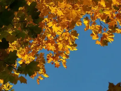 Фото 9